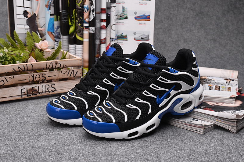 basket nike femme requin basket nike femme requin