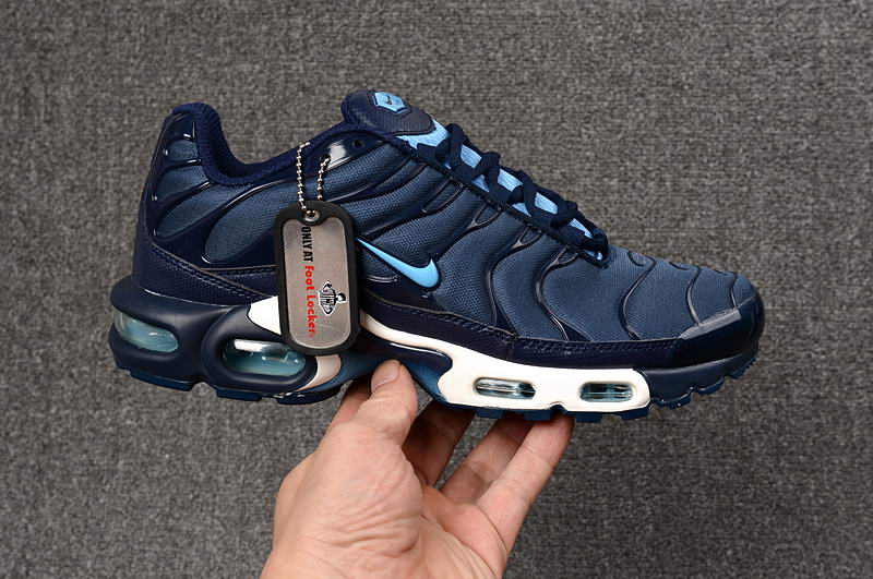 nike tn bleu nuit